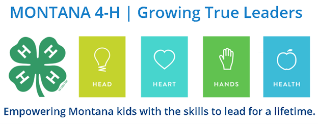 4-H Growing True Leaders